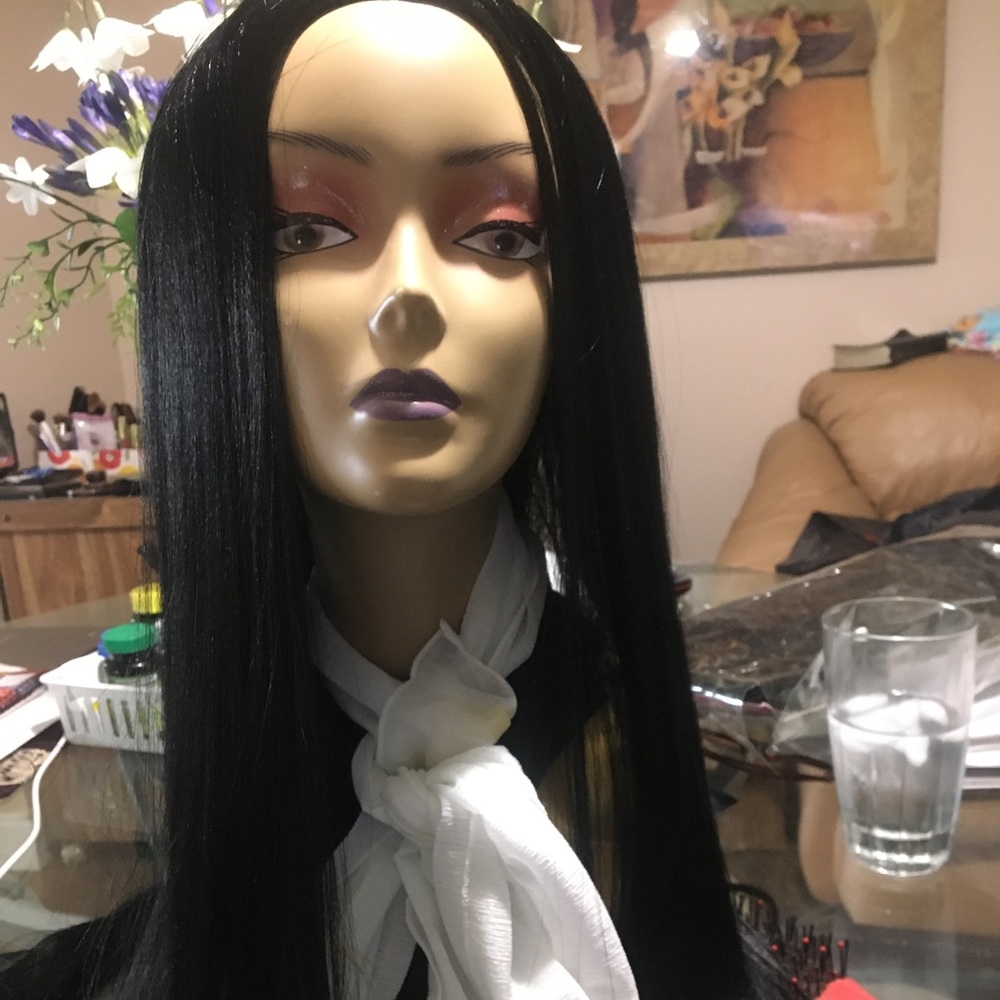 Silky straight long Black Wig Nwt